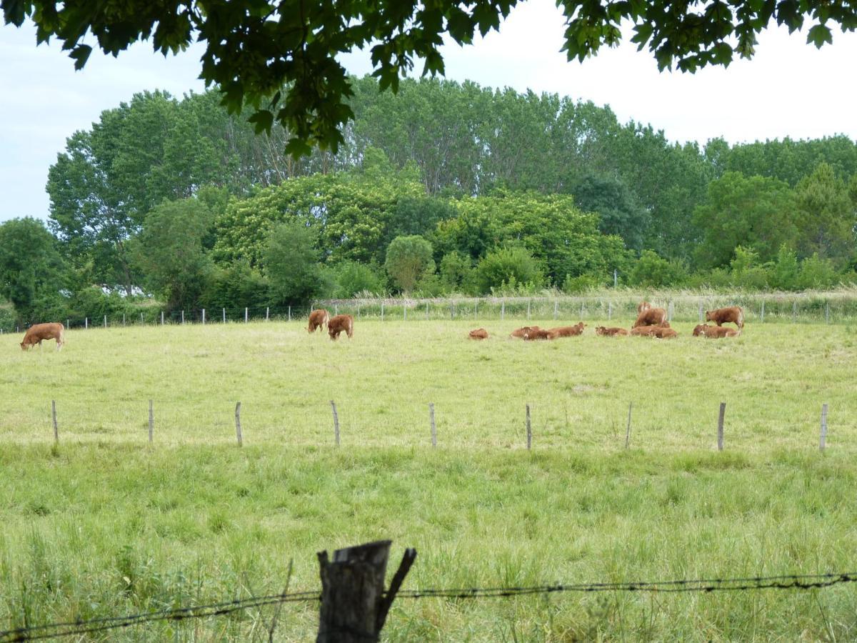 La Laiterie Du Logis Bed & Breakfast Chaniers Eksteriør bilde